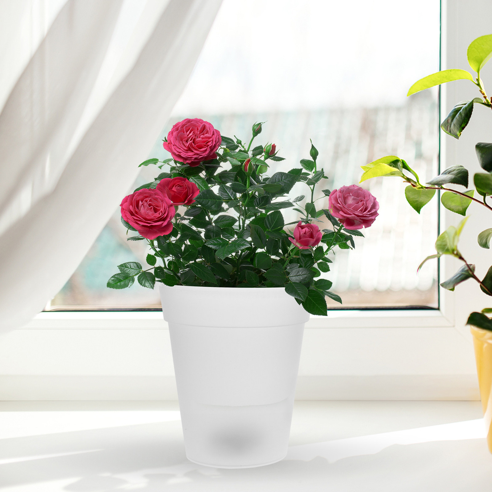 Flowerpot Solar Light Outdoor  - Christmas Lights Outdoor recensie en prijs