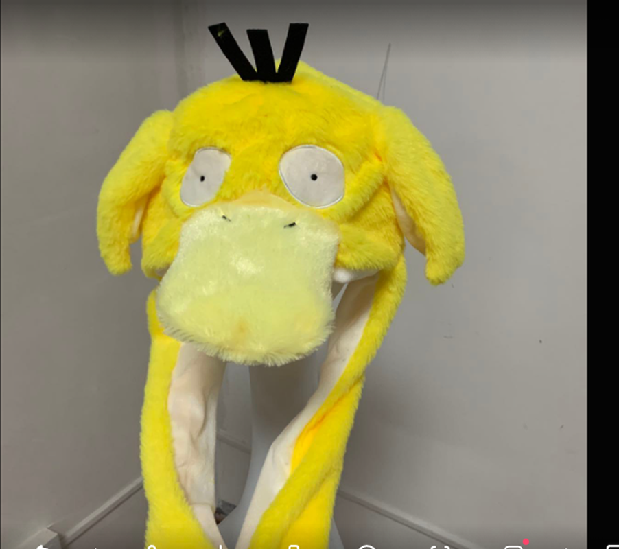 New Cartoon Cute Doll Pokemon  - Santa Hat Plush recensie en prijs